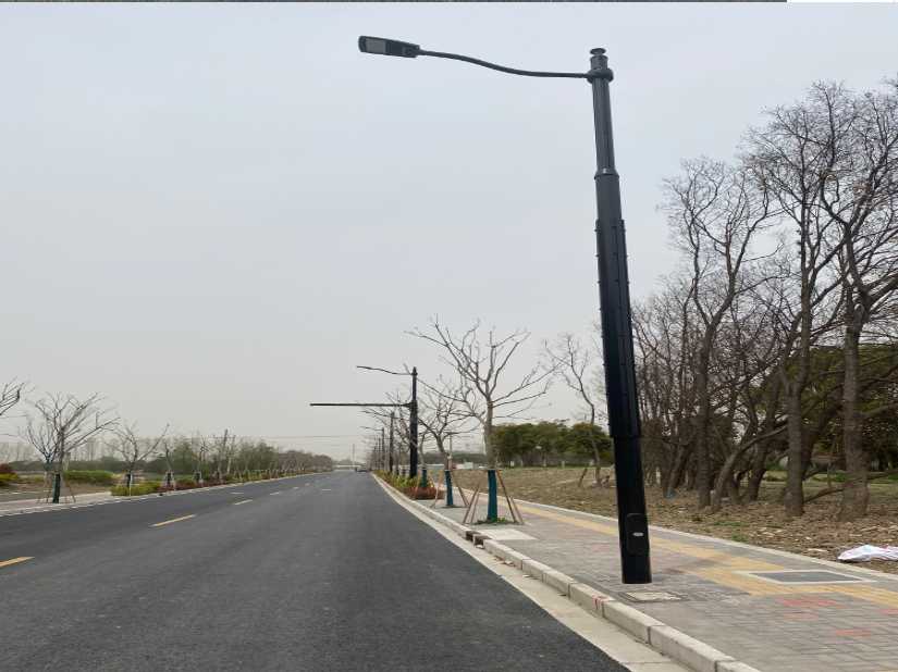 珠海市上海综合杆 太阳能路灯工程